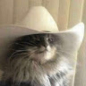 Meet your Posher, Noel